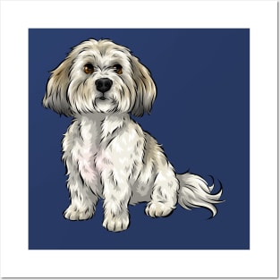 Cute Shichon Dog | Zuchon | Bichon Frise Shih Tzu cross Posters and Art